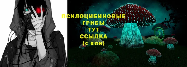винт Белокуриха