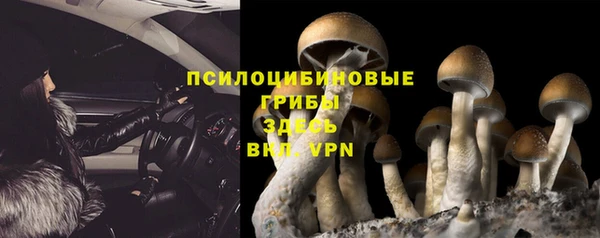 прущая мука Беломорск