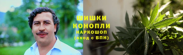 трава Бородино