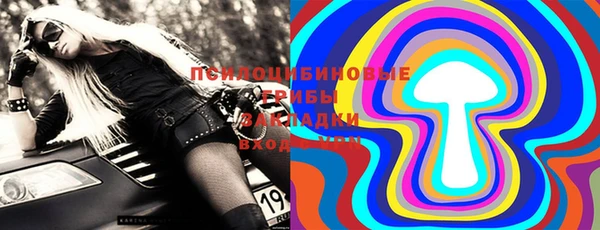 трава Бородино
