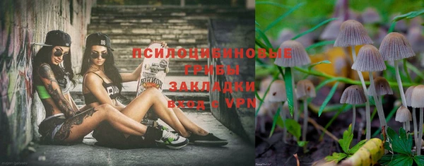 винт Белокуриха