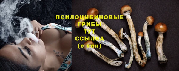 MDMA Богородск